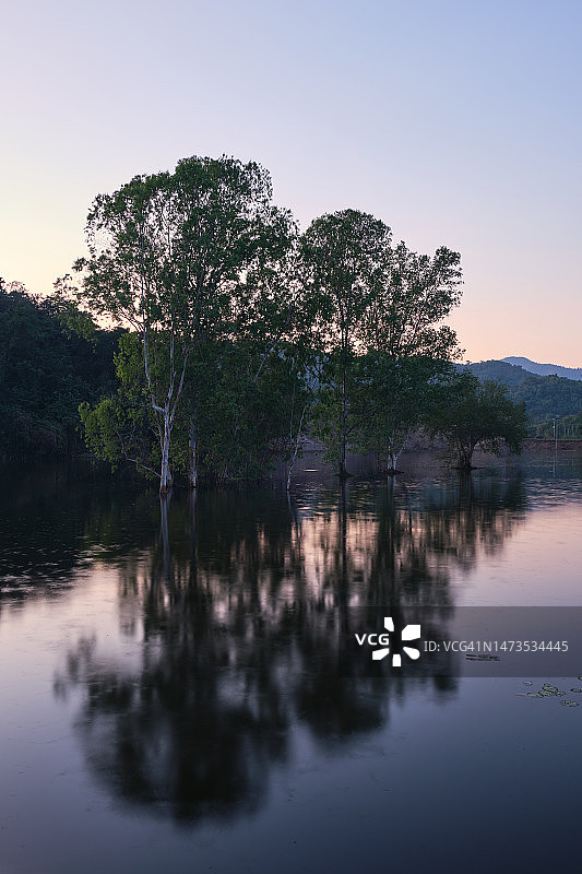 日落时分，泰国拉差武里省一个美丽湖泊上的树木图片素材