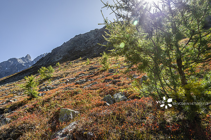 瑞士阿尔卑斯山脉格劳宾登恩加丁山谷穆奥塔斯穆拉格尔的高山景观图片素材