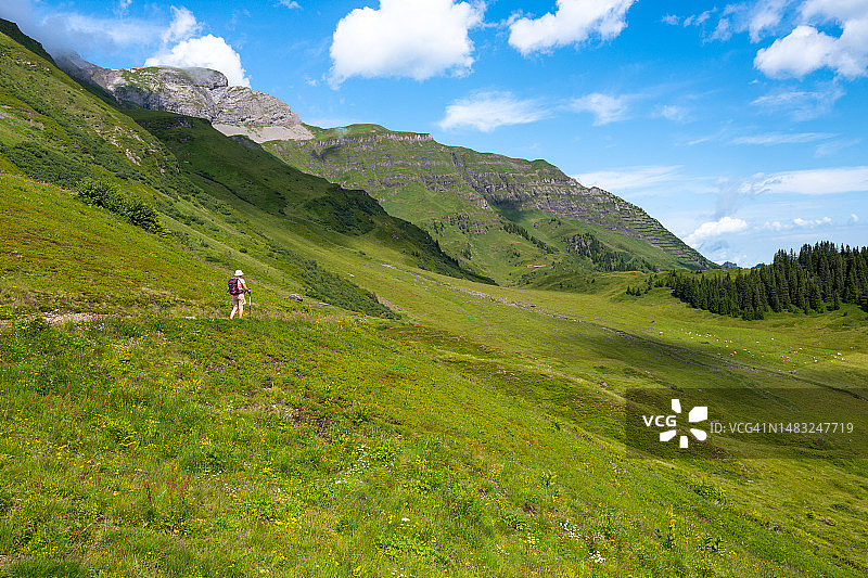 瑞士旅游-资深亚洲妇女徒步穿越瑞士阿尔卑斯山在少女峰地区的山景小径。图片素材
