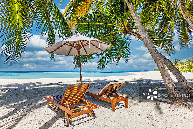 暑假，度假村背景壁纸，两把沙滩躺椅，遮阳伞下，沙滩上有棕榈树。情侣蜜月，周年旅游度假概念图片素材