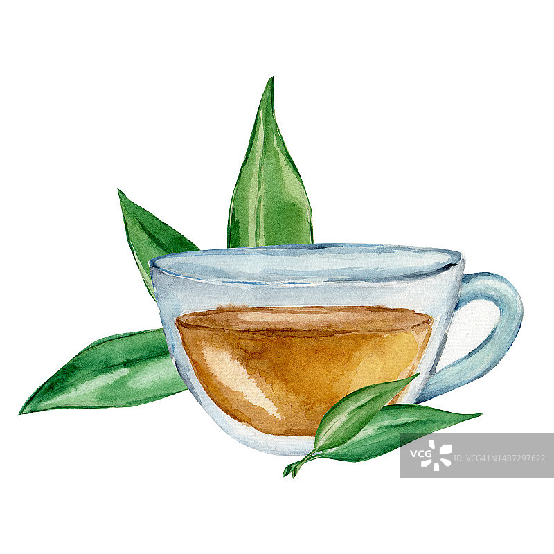 一杯茶和茶叶。在白色背景上孤立的水彩素描。图片素材