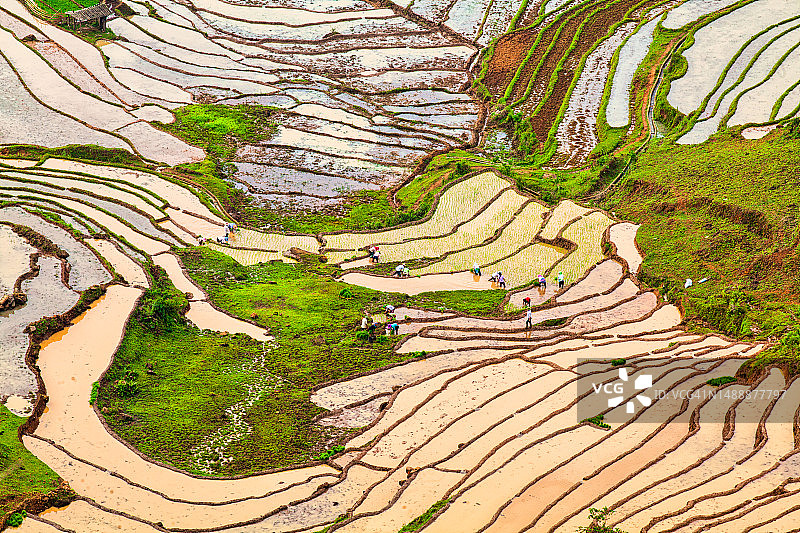 越南北部梯田的壮丽美景图片素材