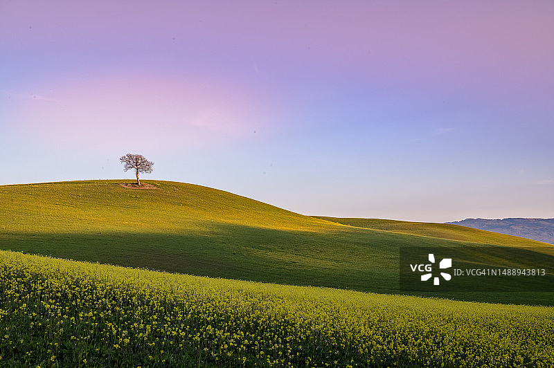 意大利，天空衬托下的田野风景图片素材