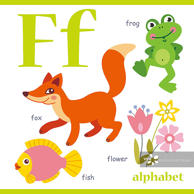 用卡通词汇说明字母F:狐狸，青蛙，花，鱼。可爱的儿童ABC字母闪存卡与字母F的孩子学习英语词汇。图片素材