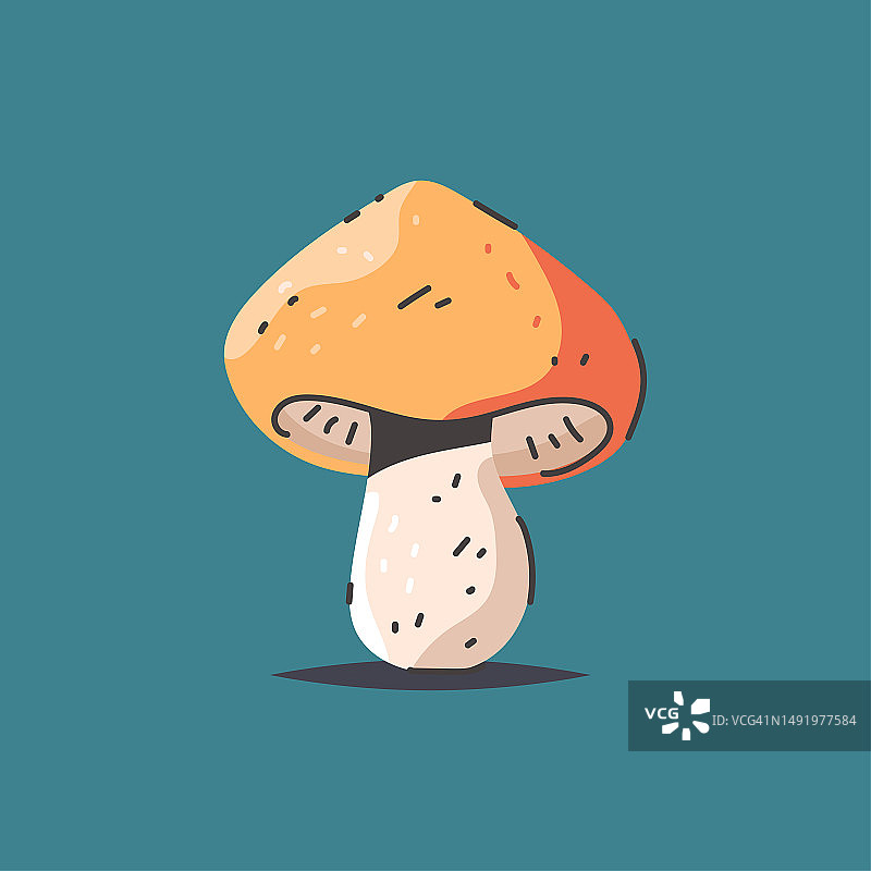 蘑菇矢量插图孤立的背景。图片素材