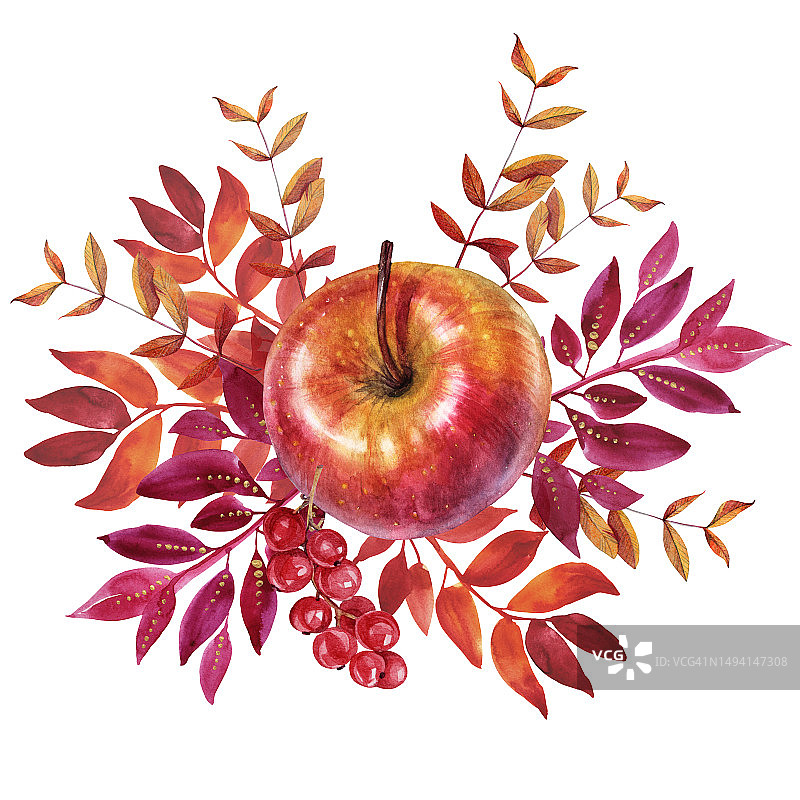 带有苹果和红醋栗的秋天香味。水彩画手绘橙色的叶子和树枝孤立在白色的背景。森林自然植物的叶子。万圣节壁纸或包装的剪贴画图片素材
