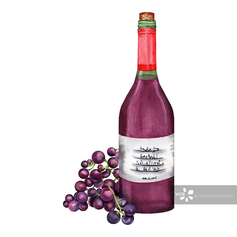 水彩酒瓶和一串紫葡萄。手绘孤立插图在白色背景。图片素材