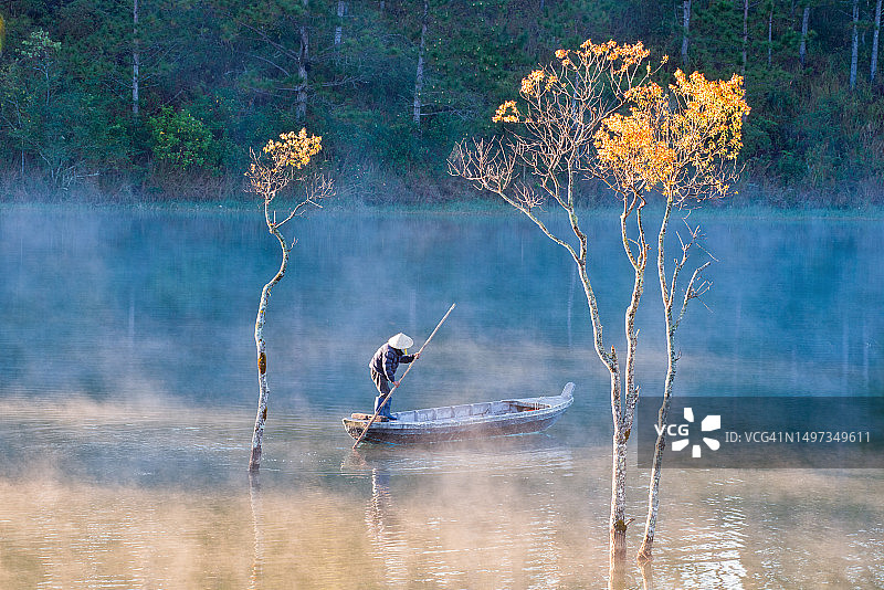 阳光下秘密洪林中老渔民的悠闲生活图片素材