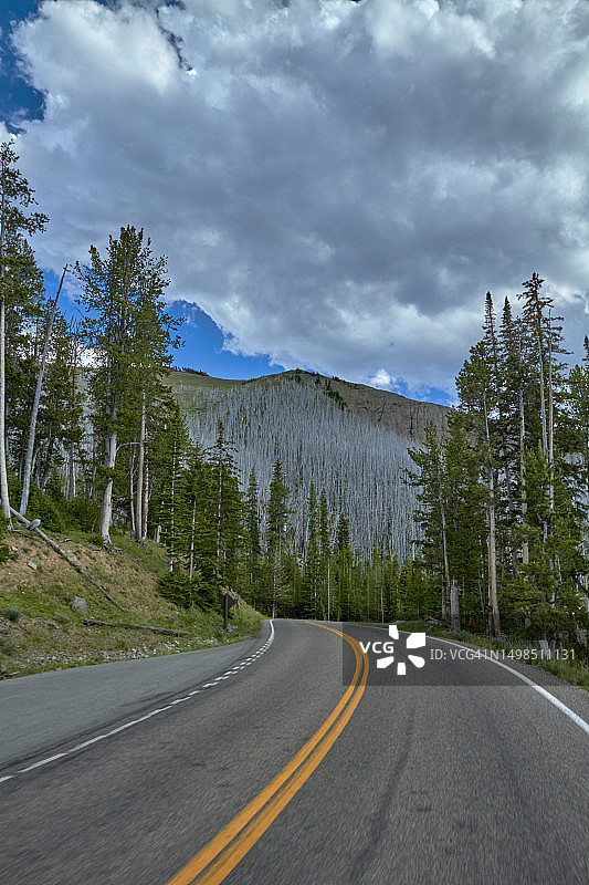 美国蒙大拿州黄石县，沿着树木和山脉的空旷道路，对着天空图片素材