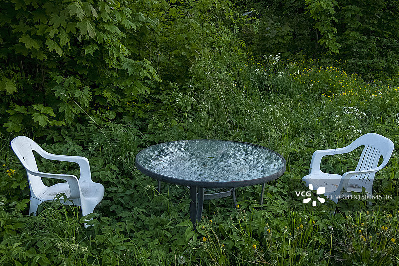 杂草丛生的花园里的桌子和椅子图片素材