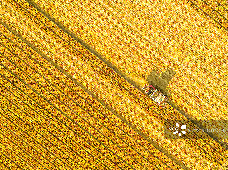 联合收割机在农田里收割小麦图片素材