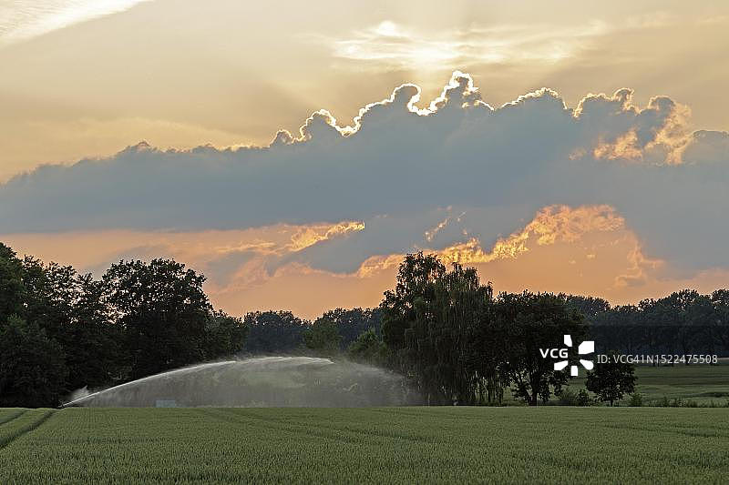 云后的农田灌溉，德国下萨克森州Suedergellersen图片素材