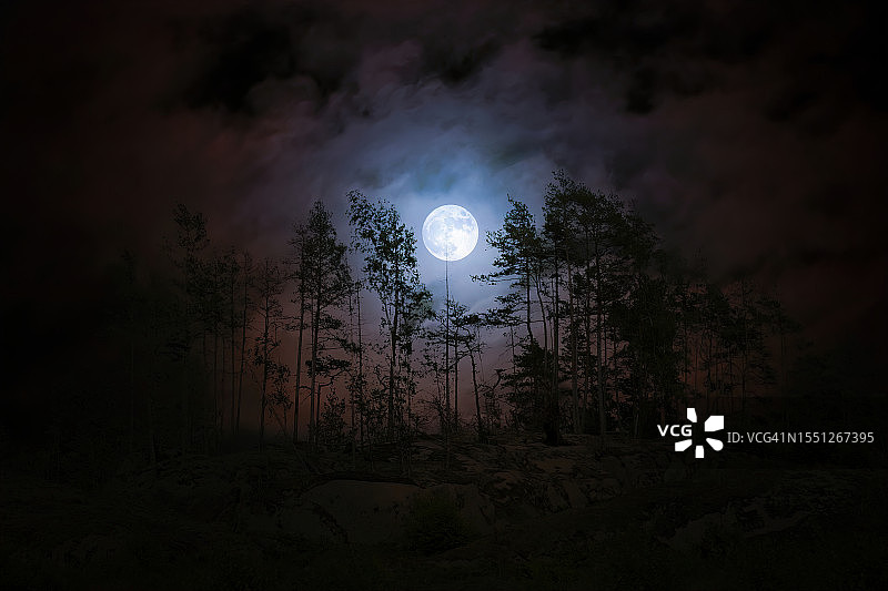 满月在黑暗的森林里闪耀图片素材
