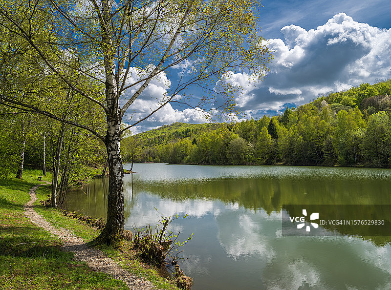 树木映衬天空的湖景图片素材