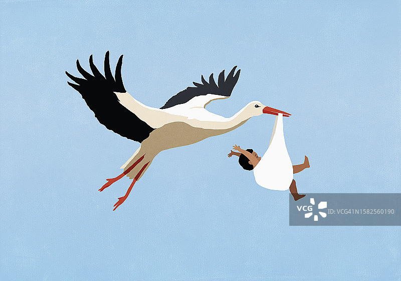 白鹳送男婴，在蓝天上飞翔图片素材