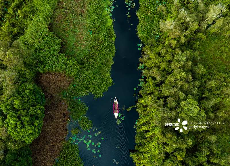 一艘装满睡莲的船走在盛开的千层林中，抽象航拍照片，龙安潭腊漂浮村图片素材