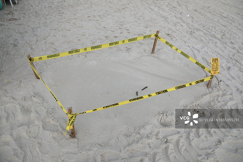 保护濒临灭绝的海龟巢的安全区域图片素材