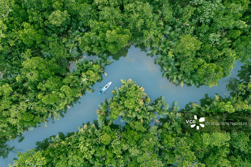 在热带森林的河流中划着独木舟图片素材
