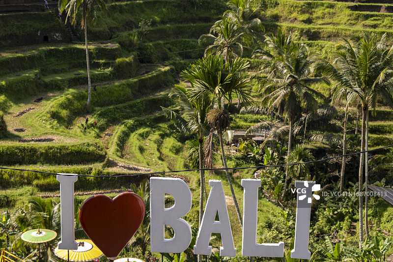 我爱巴厘岛标志与稻田梯田椰子树在背景-巴厘岛图片素材