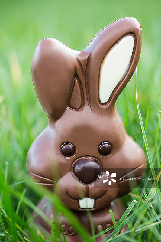 巧克力兔子依偎在草丛中图片素材