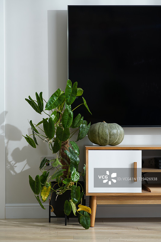 时尚的电视区与盆栽植物和绿色南瓜装饰图片素材
