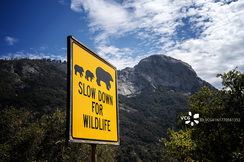 美国加州公路上的标语:为野生动物减速。图片素材