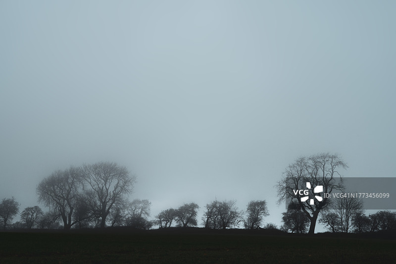 一排树木横过田野，映衬着天空。在一个寒冷的冬日。图片素材