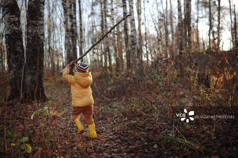 快乐的幼儿:穿着黄色夹克和帽子的可爱孩子在森林里玩棍子图片素材