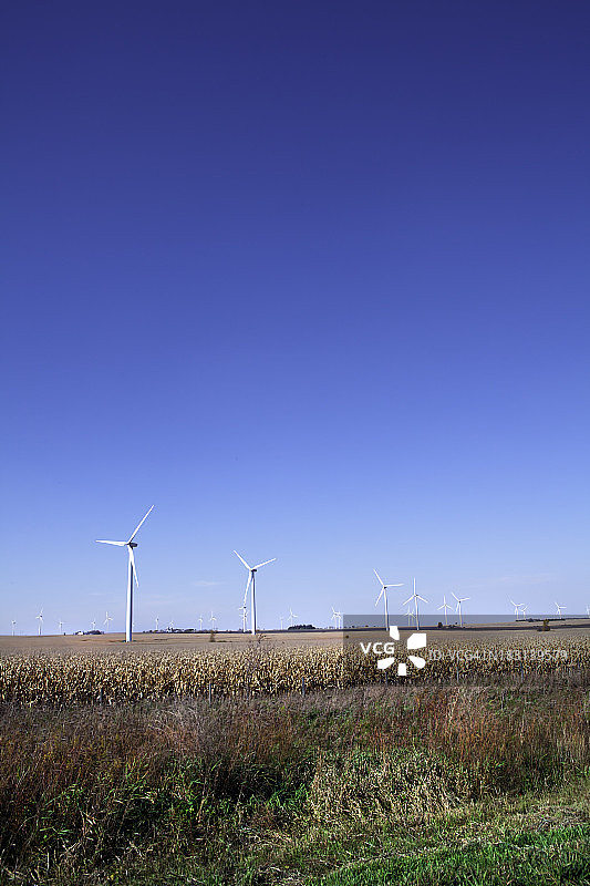 风力涡轮机和玉米田图片素材