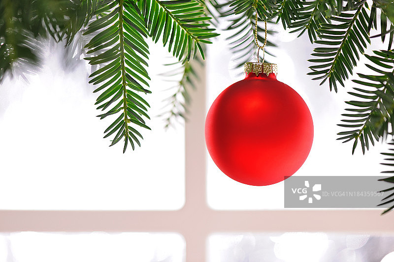 挂在松树上的圣诞小玩意儿图片素材