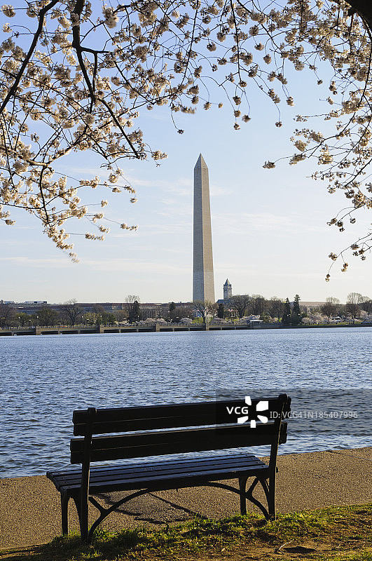 华盛顿特区潮汐盆地的空长凳图片素材