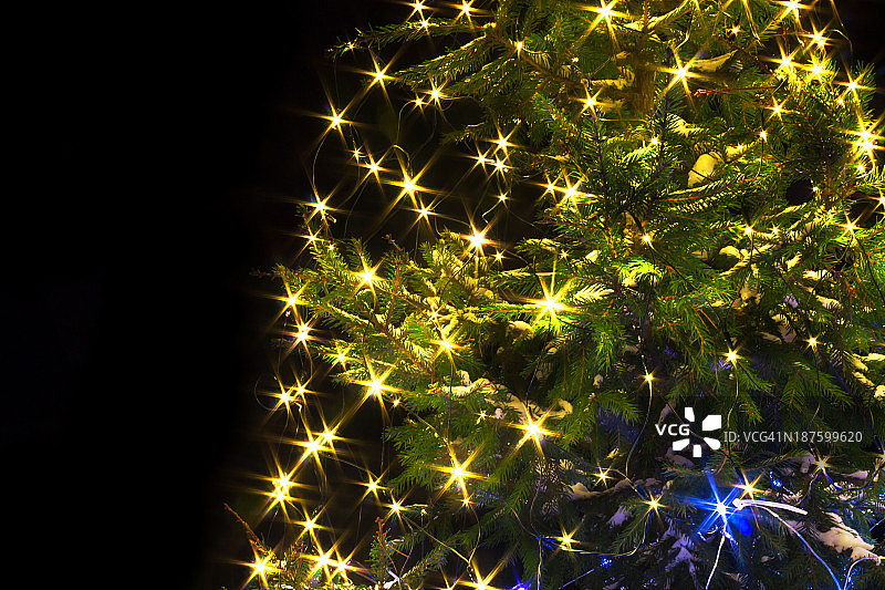 圣诞树之夜灯火通明图片素材