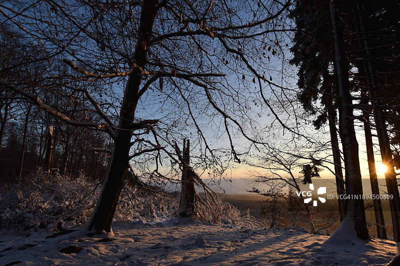在德国，欧洲莱茵兰-普法尔茨的Wildenburger Kopf和Moerschieder Burr之间的Hunsrueck-Hochwald国家公园，冬日的日出与雪图片素材