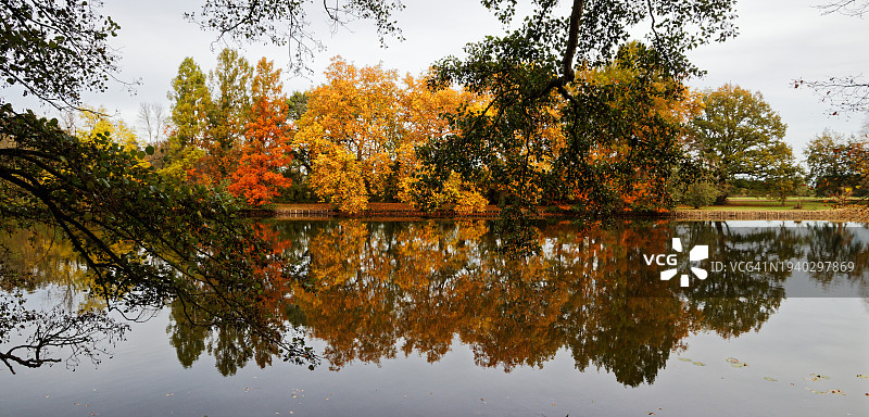 德国，秋天，树木映衬天空的湖景图片素材