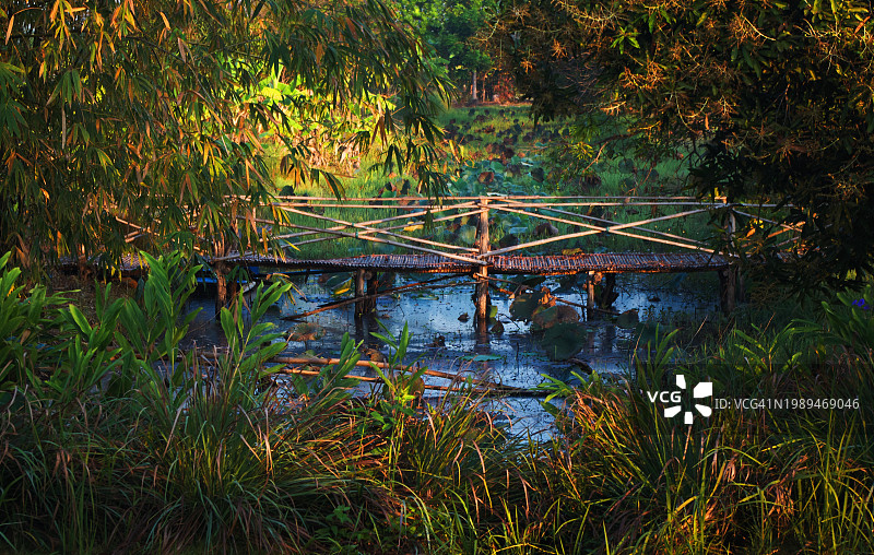 一座古老的木桥横跨在热带花园的池塘上图片素材