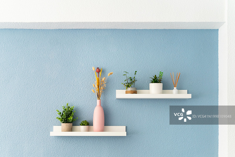 在空的公寓里，有植物装饰的白色架子的正面视图，墙壁涂成蓝色图片素材
