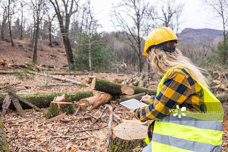 一名女性环境研究人员带着数据收集设备在被风暴破坏的森林里图片素材