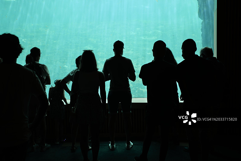 一群游客在昏暗的房间里观察和欣赏水族馆里美丽的鱼的后视图。图片素材