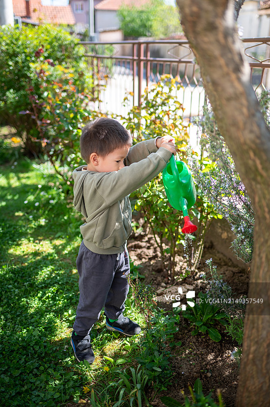 年轻的园丁:3岁男孩浇灌花园植物图片素材