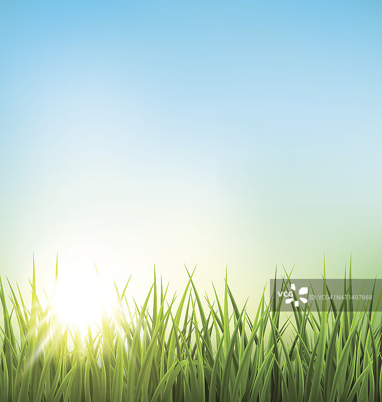 碧绿的草地和日出的蓝天图片素材
