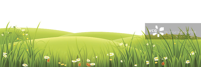 草地，绿草和鲜花图片素材