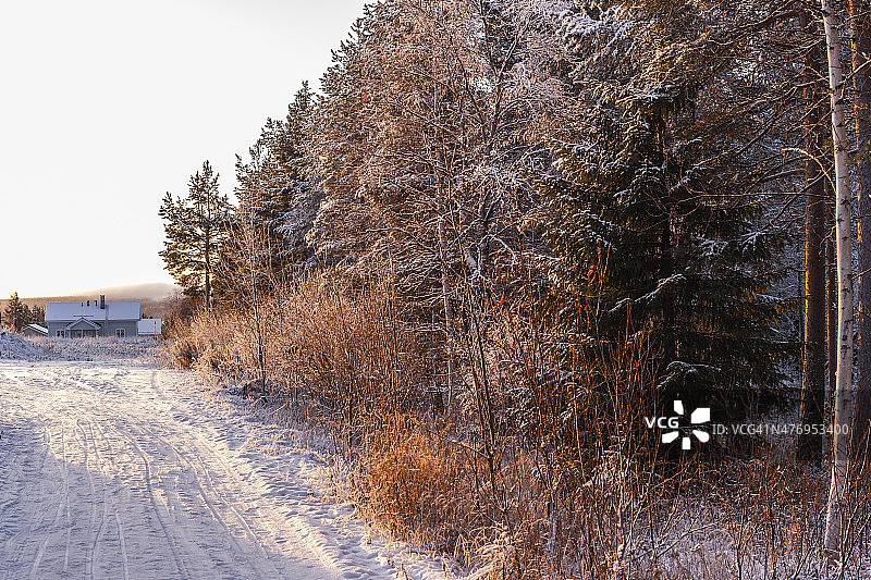 芬兰拉普兰。北极圈冬天的正午图片素材