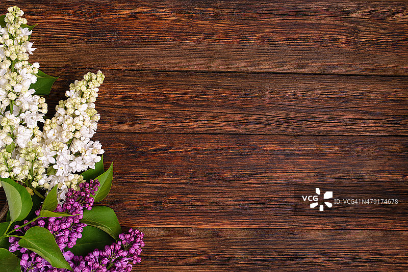 木制背景上美丽的紫丁香图片素材