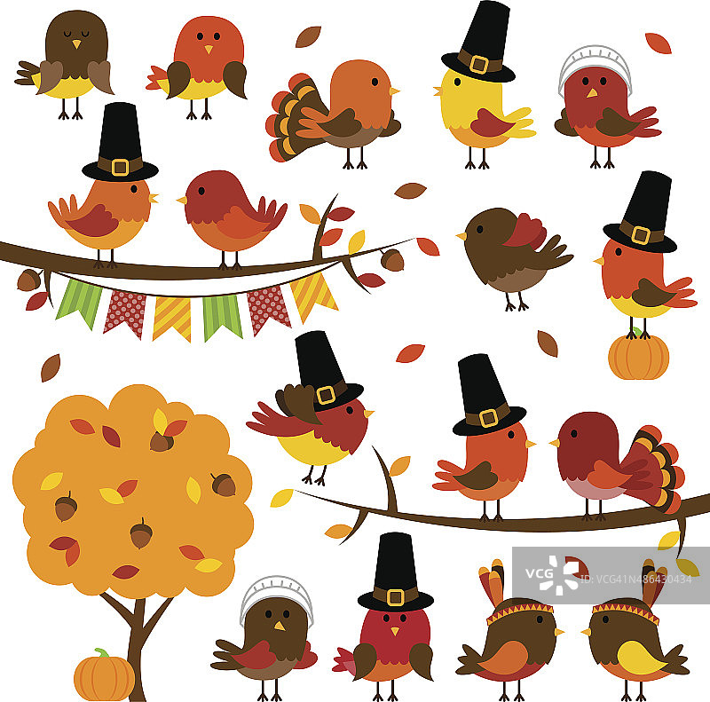 可爱的感恩节和秋天的鸟类向量收集图片素材