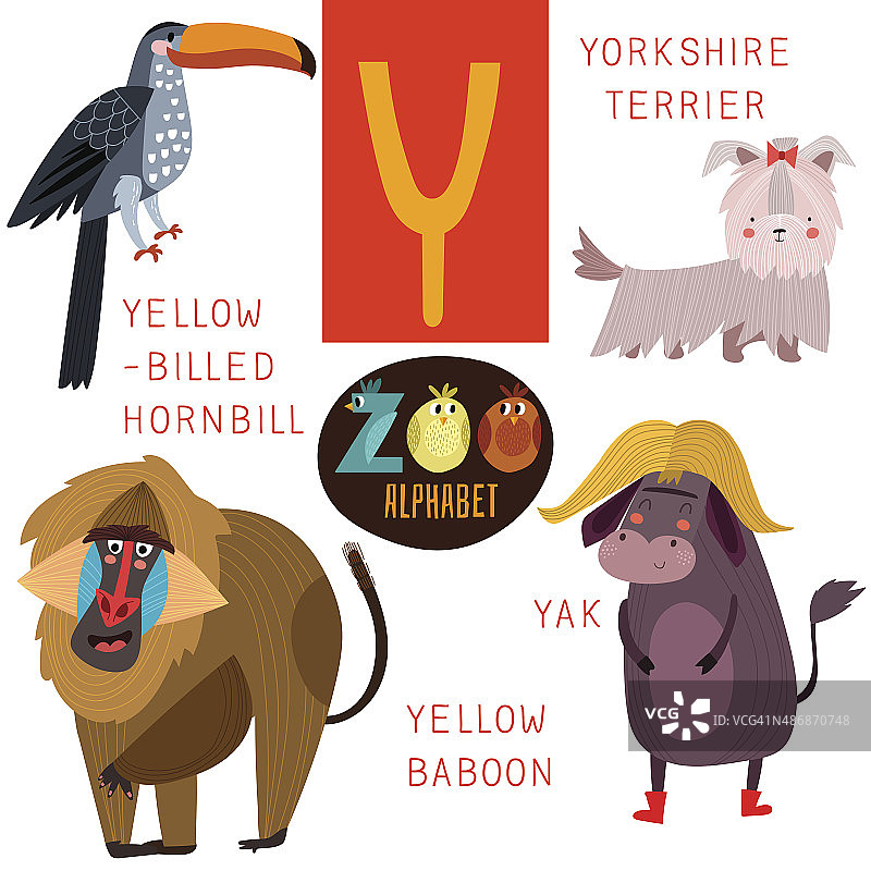 可爱的动物园字母在向量。Y的信。有趣的卡通动物图片素材