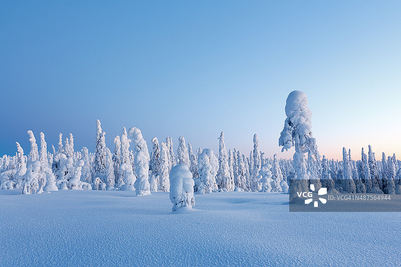 拉普兰的冬景图片素材