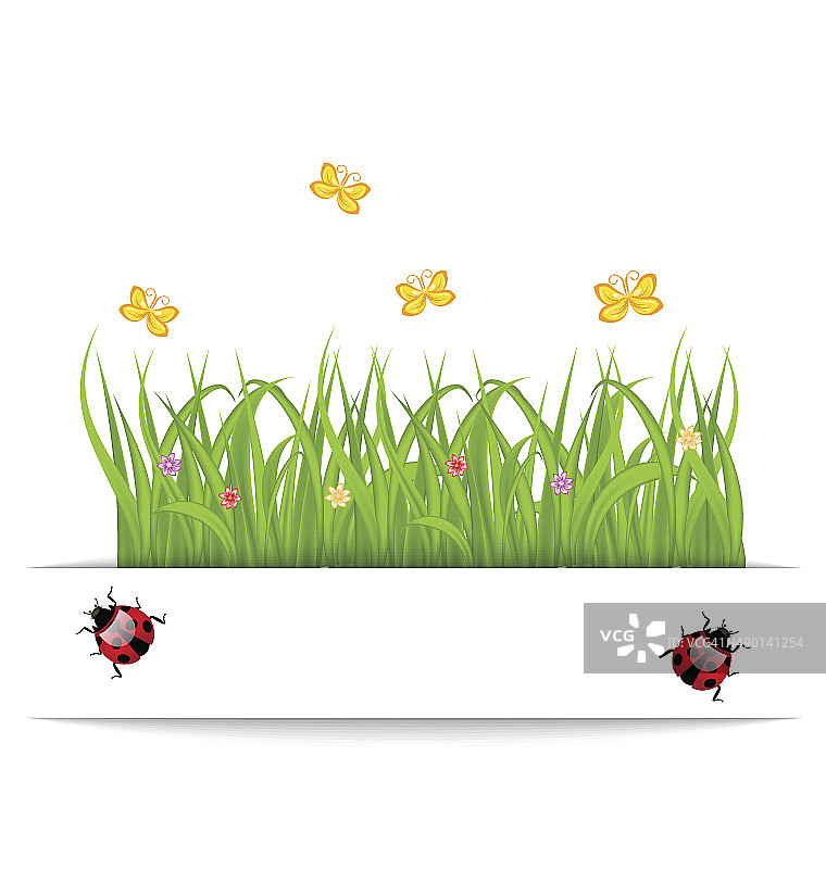 春天的卡片上有草、花、蝴蝶、瓢虫图片素材