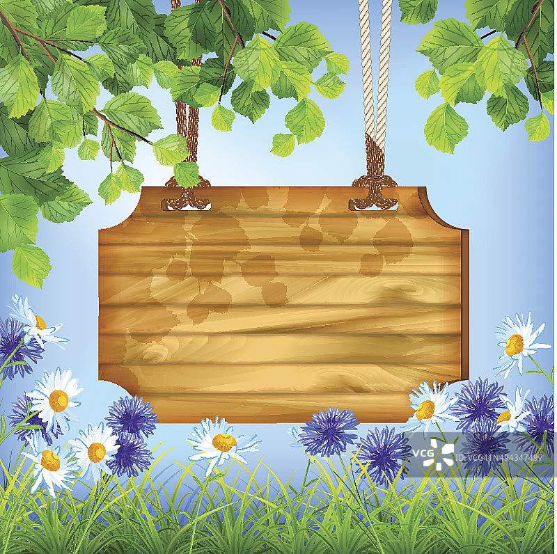 木制标志板夏日自然背景图片素材