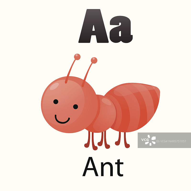 字母A与蚂蚁图片素材