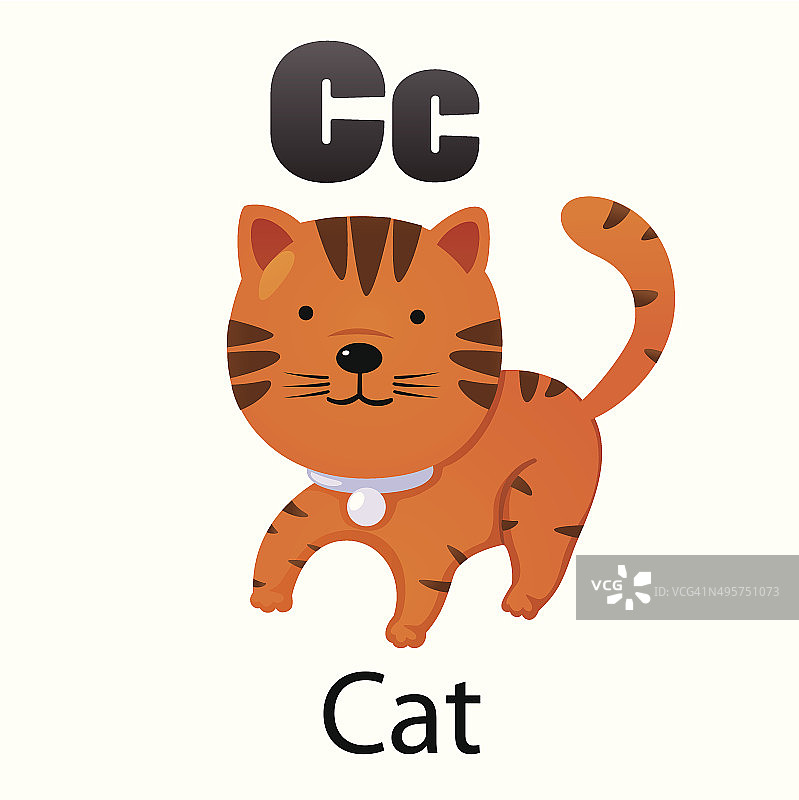 字母C和猫图片素材